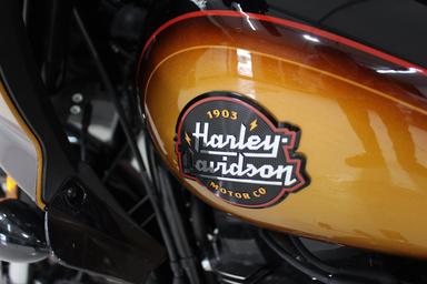 Harley Davidson FXST 2024 - Thumbnail 7
