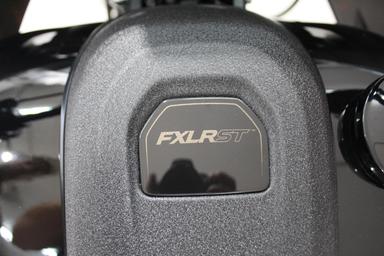 Harley Davidson FXST 2024 - Thumbnail 11