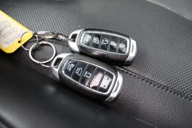 Hyundai Palisade 2020 - Thumbnail 30