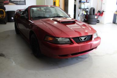 Ford Mustang 2004 - Thumbnail 4